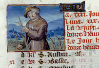Taille de la vigne, dans les Heures à l'usage de Rome, fin XVe siècle, Ms 134, folio 3.Bibliothèque municipale d'Angers.