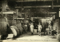 Intérieur d’un cuvage en Beaujolais vers 1910