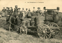 La fin des vendanges est toujours l'occasion de grandes fêtes.