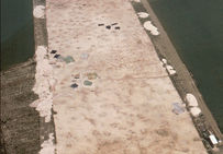 Vue aérienne du décapage. Chaque tâche circulaire correspond à l’entrée d’un puits d’extraction.  Le Haut-Château, Jablines (Seine-et-Marne), 1989-1990.