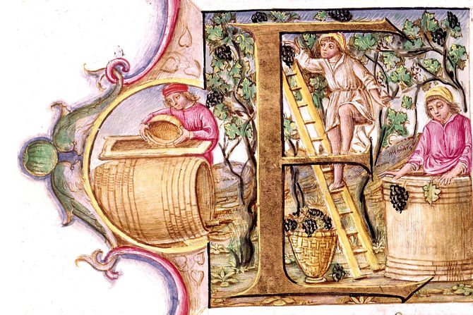 Antiquité - Sciences - Frise chronologique histoire du vin - Inrap