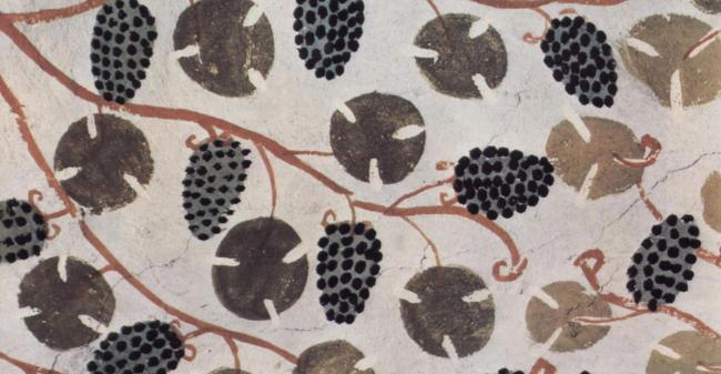 Archéologie de la vigne et du vin