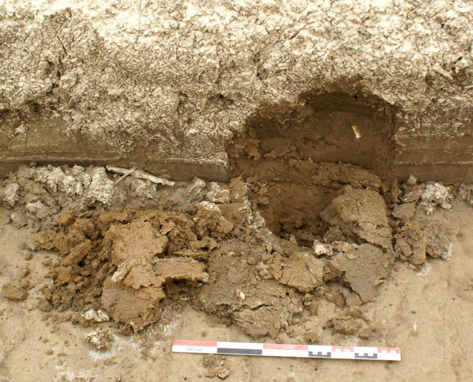 Pillage d'un site archéologique sur le tracé du canal Seine-Nord Europe