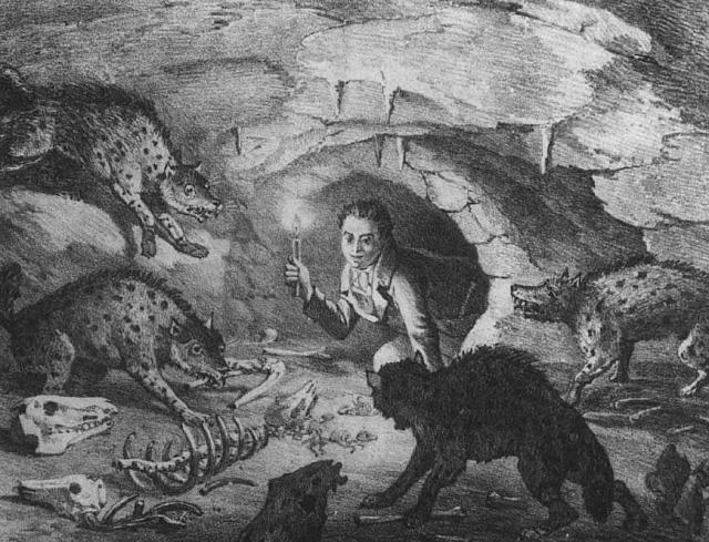 L'homme est-il une hyène pour l'homme, ou l'histoire de Hyena Crocuta crocuta