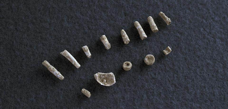 Des sépultures du Néolithique ancien, environ 5000 ans avant notre ère