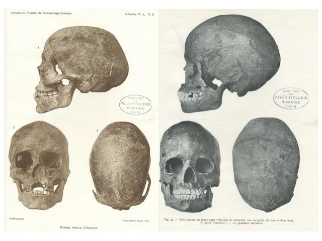 Faut-il réhabiliter l'homme fossile d'Asselar ?