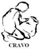 CRAVO