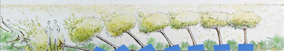 Dessin du projet Régénération