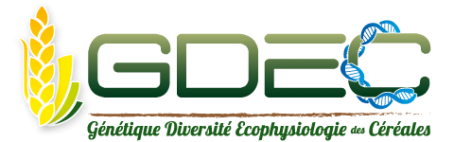 GDEC