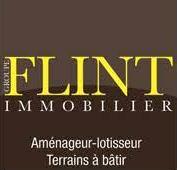 logo_flint.jpg