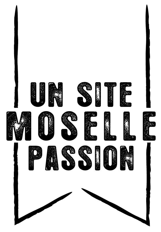 Logo Un site passion Moselle Logo Un site passion Moselle