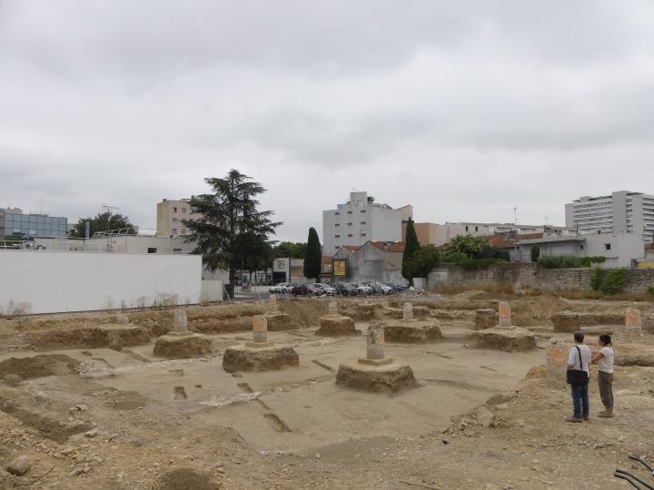 Fondations sur pieux de l'ancienne poste avec traces (obliques) de plantations de vignes de la période républicaine.