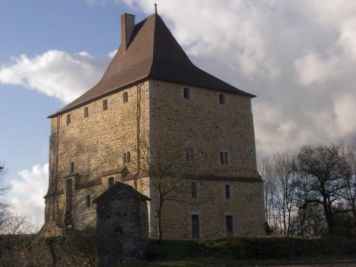 Mise en place d'un programme collectif de recherche sur l'ensemble castral de Vesvre