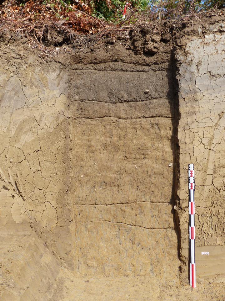 Log stratigraphique présentant une succession de sols archéologiques. Site de Pascale et Bérange à Mudaison (Hérault). Responsable d’opération Muriel Gandelin, Inrap. 