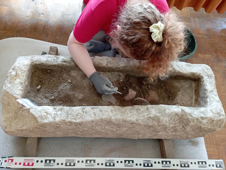 2023_credit_musee_darcheologie_tricastine.jpg