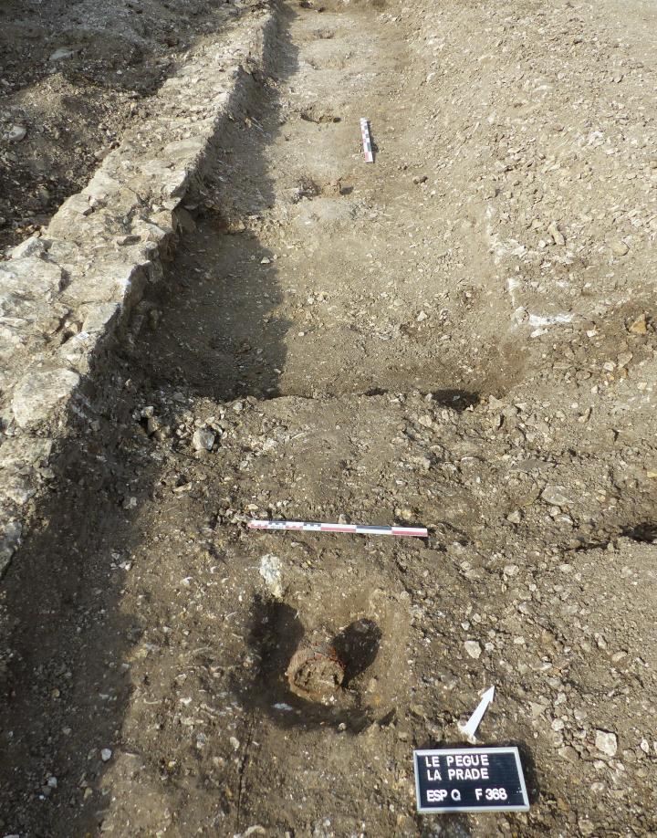 La succession de frettes métalliques La succession de frettes métalliques