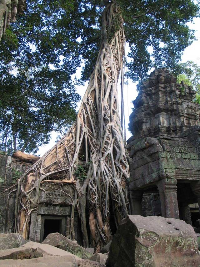 Angkor et les recherches françaises, Cambodge