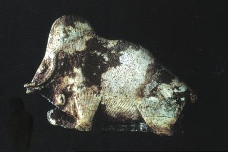 Quand le mammouth gambadait dans la steppe française - Archéologie, histoire et génétique du pachyderme