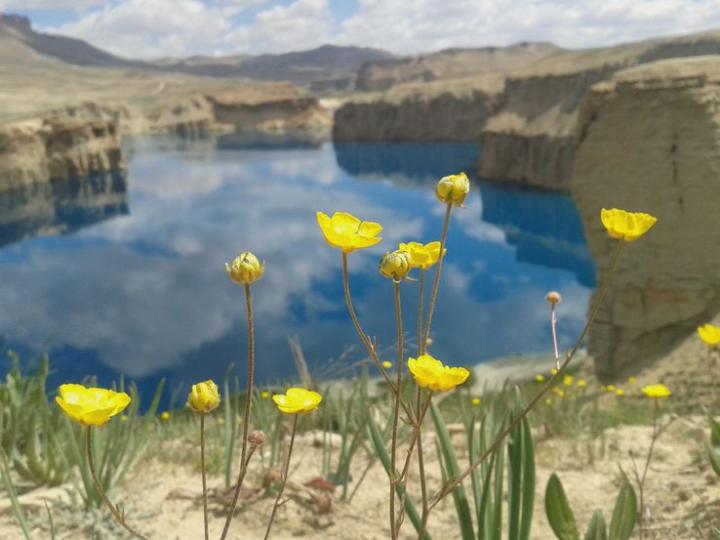 De Bactres à Bâmiyân (Afghanistan)