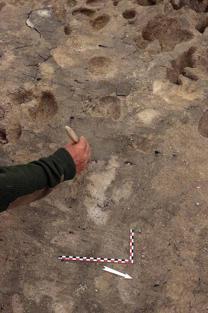 Empreintes de pas fouille d'Alisay (Normandie)
