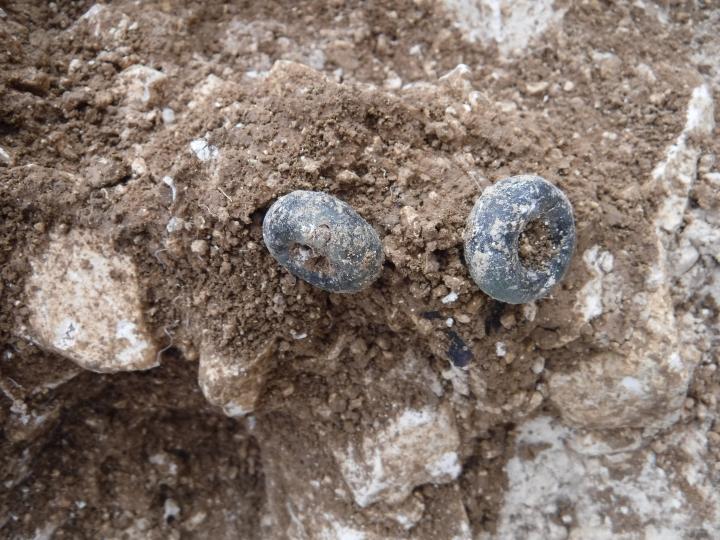 Perles de verre bleu déposées en offrande dans une tombe à incinération de La Tène C2-D1. Perles de verre bleu déposées en offrande dans une tombe à incinération de La Tène C2-D1.