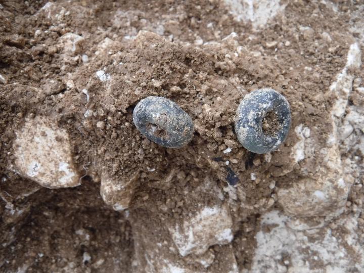 Perles de verre bleu déposées en offrande dans une tombe à incinération de La Tène C2-D1.