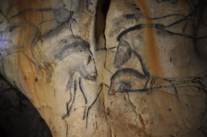 Détail de la grotte Chauvet