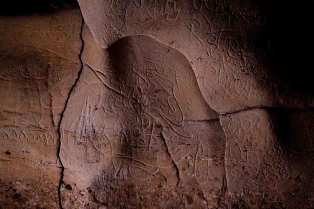 Paroi de la grotte de Font Major découverte en Catalogne (L’Espluga de Francoli)