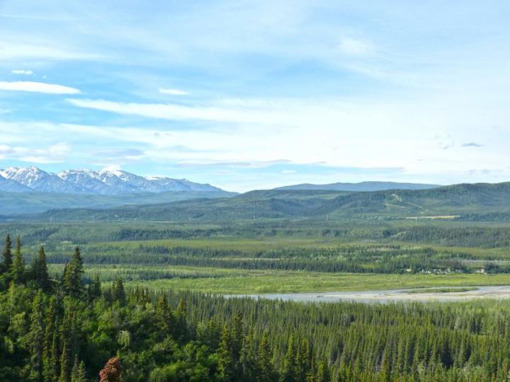 Paysage d'Alaska