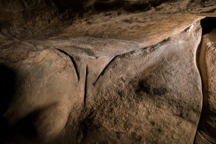 Pubis rainuré et chevaux finement gravés (ceux-ci sont soulignés pour la lisibilité)