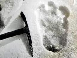 838_trace-yeti.jpeg