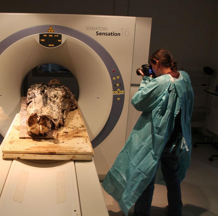 Rozenn Colleter photographiant le scanner de la dépouille de Louise de Quengo.
