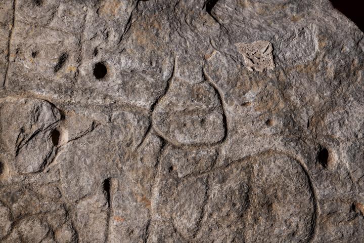 Vue de détail du motif central de la dalle de Saint-Bélec, interprété comme la figuration d'une enceinte.