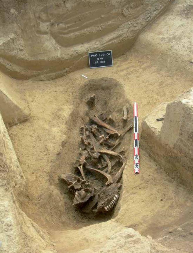 Saint-Léger-Près-Troye (Aube), dépôt d'aurochs, Néolithique récent. 
