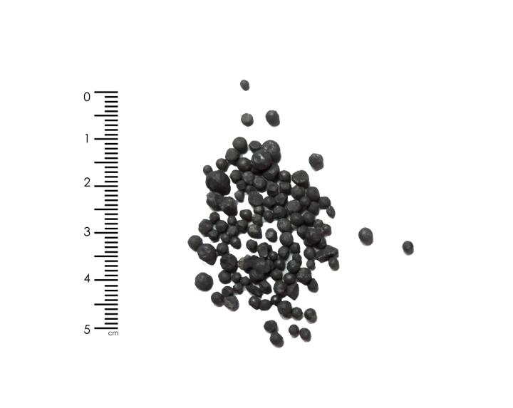 Granules de plomb recueillies après tamisage.