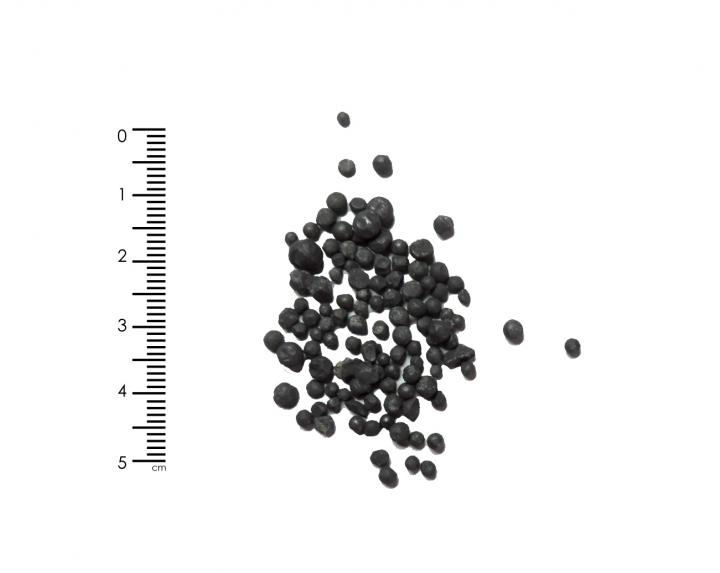 Granules de plomb recueillies après tamisage.
