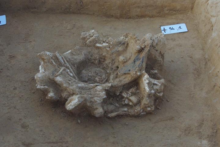 Empreinte du vase enchassé dans les restes osseux incinérés d'un défunt La Tène ancienne