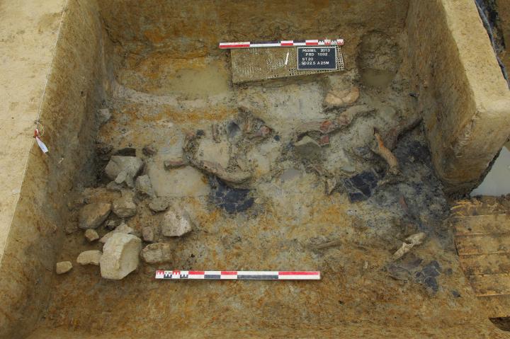 Passel " le Vivier " (Oise), bucranes et chevilles osseuses de bovins associés à des poteries et des outils macrolithiques.