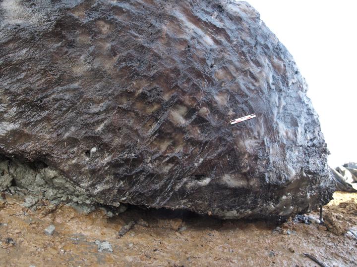 Détail des traces d’impacts d’outils utilisés pour aménager la base d’un poteau. 
