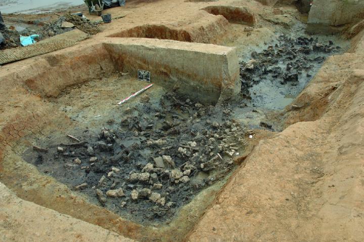 Un segment de fossé en cours de fouille. Le fond est jonché de rejets archéologiques et de sédiments très organiques.