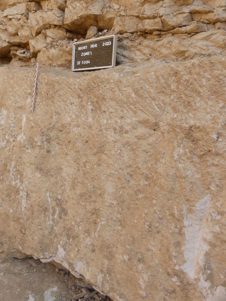 Niort 10