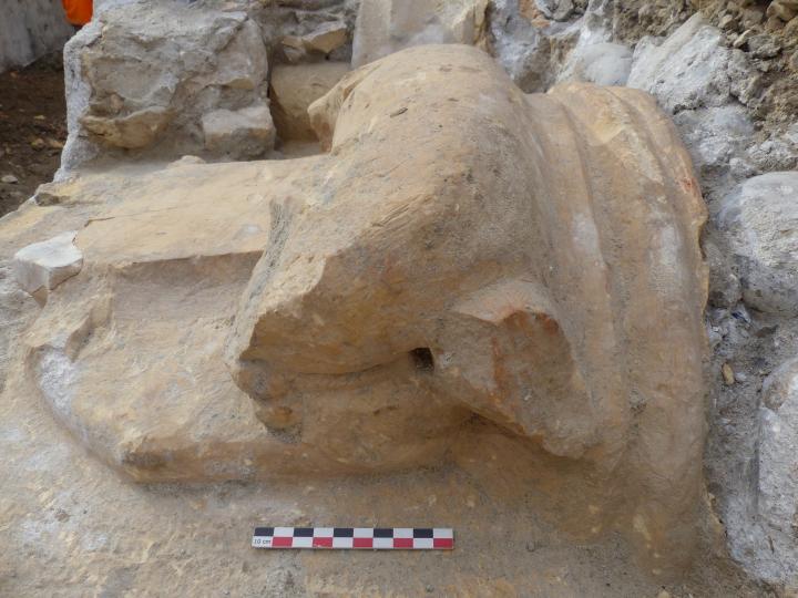 Détail d’un chapiteau zoomorphe provenant du cloître, ces éléments ont été déposés suite à l’intervention Inrap.