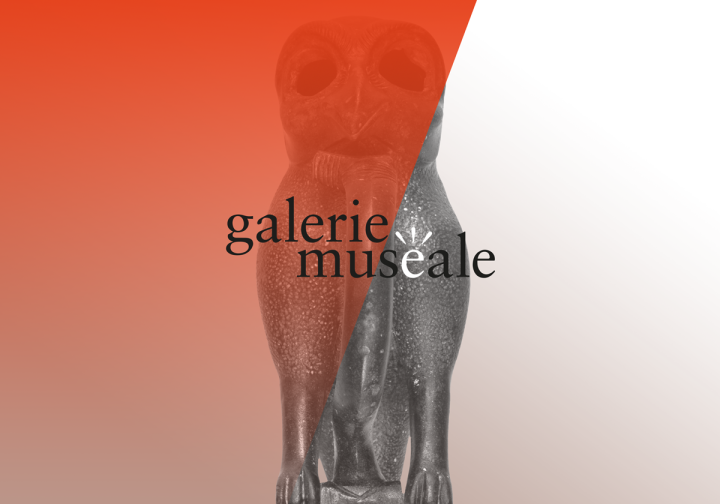galerie_img_1.png