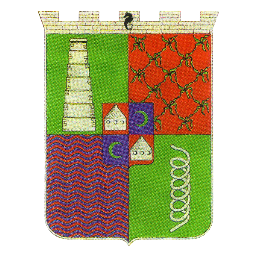 logo Tsingoni logo Tsingoni