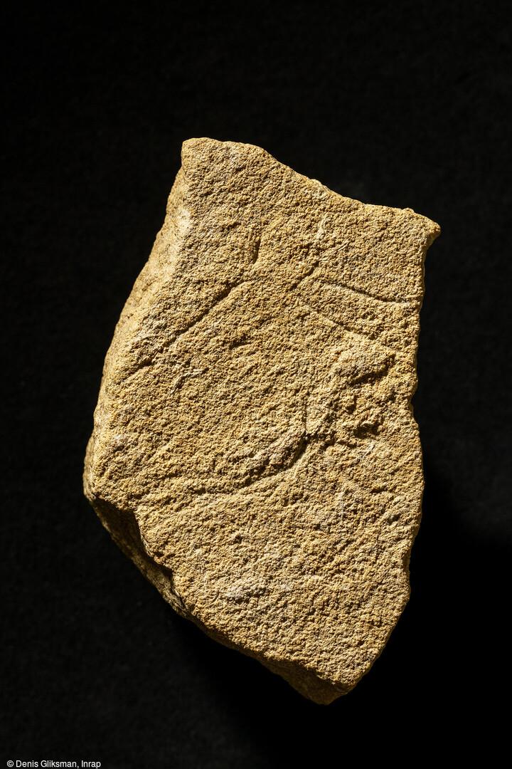 Parmi les mobiliers découverts à Bellegarde (Gard) cette plaquette gravée portant un profil gauche de tête de cheval avec petites oreilles "en antennes" du Magdalénien inférieur initial (-20 000) comparable aux motifs visibles dans les grottes Cosquer à M