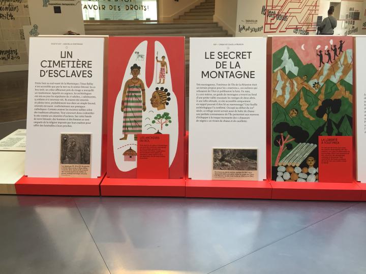 Installation de l'archéocapsule « Archéologie de l'esclavage colonial » au musée de l'Homme (mai 2019)