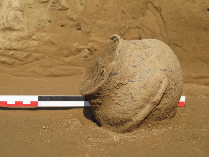 Le vase de Daurelle en cours de dégagement.