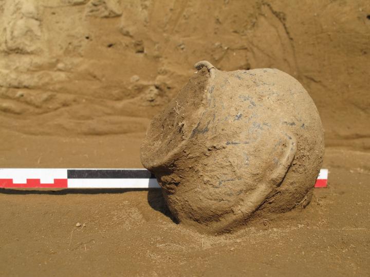 Le vase de Daurelle en cours de dégagement.