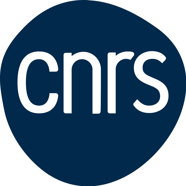 logo_centre_national_de_la_recherche_scientifique_2023-.svg_.png
