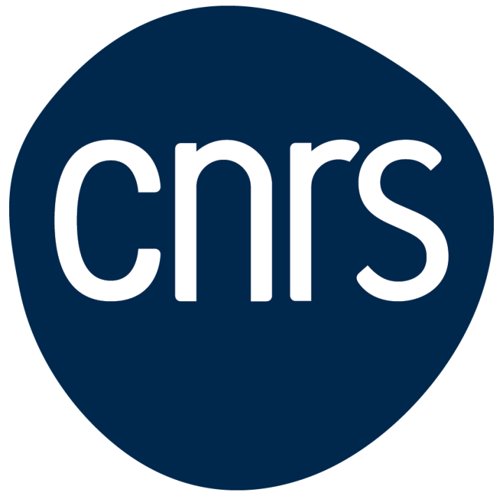 logo cnrs 2023 bleu.png
